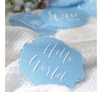 UNIQOOO 13Pcs Blue Baby Monthly Milestone Marker Discs Handmade-style Printed|Acrylic Milestone Cards for Baby Announcement | Gender-Neutral Gift for Newborn Boy and Girl, Baby First Year Photo Props