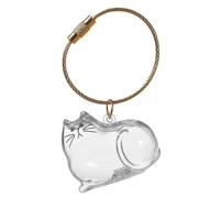 Unique Acrylic Pet Hair Showcases Bottle with Rope Keychain Pendant Cats Furs Container DIYer Keepsakes Home Decoration Miniature Pet Hair Memorial Ornament