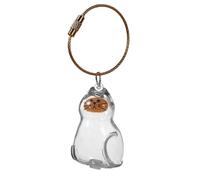 Unique Acrylic Pet Hair Showcases Bottle with Rope Keychain Pendant Cats Furs Container DIYer Keepsakes Home Decoration Miniature Pet Hair Memorial Ornament