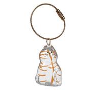 Unique Acrylic Pet Hair Showcases Bottle with Rope Keychain Pendant Cats Furs Container DIYer Keepsakes Home Decoration Miniature Pet Hair Memorial Ornament