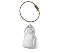 Unique Acrylic Pet Hair Showcases Bottle with Rope Keychain Pendant Cats Furs Container DIYer Keepsakes Home Decoration Miniature Pet Hair Memorial Ornament