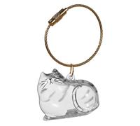 Unique Acrylic Pet Hair Showcases Bottle with Rope Keychain Pendant Cats Furs Container DIYer Keepsakes Home Decoration Miniature Pet Hair Memorial Ornament