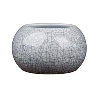 Unique Ancient Encouraged Water Culture Vase Planter Container for Desk Display and Creative Vegetal Arrangement Ceramic Coin Grass Vase Planter Container with Crackled Luminousness for Hydroponic