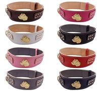 Unique Cane Corso GOLD Heavy Duty 2.5 inch Wide Leather Dog Collar with Cane Corso Head Motif (Large: 23" - 28", Deep Pink)