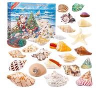 Unique Conch and Shell Seaside Fishing Gear Advent Calendar 2025, A Holiday Countdown for Making Lasting Memories Advent 24 Days Surprise Calendar for Adult Kids and Fishing Lover