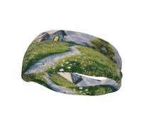 Unique Customized Headbands for Men and Women - Stylish Sweat Bands for Running, Workout, and Sports - Moisture Wicking and Stretchable Baiyun Wonderland