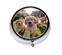 Unique Personalized Pill Box - 7 Day PM Pill Box with Full Print Design - Gold Plated Mini Puppy Medicine Organizer