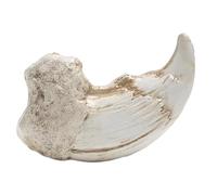 Unique Resin Ornament Realistic Fossils for Bookshelf Decor and Scientific Decorative Figurine Nature Encouraged Decors Home Decors Sculpture Miniature Art Artistic Ornamentation Desktop Display Items