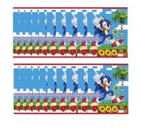 Unique Sonic Birthday Party Supplies Bundle - 24 Sonic Loot Bags