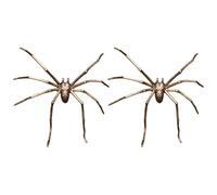Unique Spiders Earrings Gothic Ear Studs Comfortable Earrings Piercing Jewelry PP Texture for Fashion Individuals Trendy Spiders Studs
