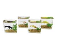 Unique square/round aquarium miniature glass pond or model decoration exquisite details unique