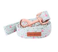 Unique Style Paws Dog Leash with Cotton Handle Leashes Durable Dog Leash for X-Small Small Medium to Large Dogs