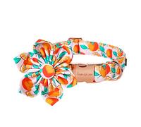 Unique style paws Pet Collar with Orange Patterns Adjustable Durable Dog Collar Flower Tie Dog Collar Pet Gift for Small Medium Large Dogs and Cats-M