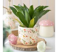 Uniqueful Fairy Folklore Print Plant Pot | Size: Small Uniqueful Multicolor Small
