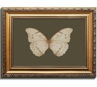 Uniro Vintage Gold Framed Wall Art, Classical Butterfly Oil Paintings, Dark Moody Insect Canvas Prints Artwork with Antique Frame, Sage Green Wall Decor Pictures for Bedroom, Kitchen, Shelf, Bathroom
