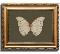 Uniro Vintage Gold Framed Wall Art, Classical Butterfly Oil Paintings, Dark Moody Insect Canvas Prints Artwork with Antique Frame, Sage Green Wall Decor Pictures for Bedroom, Kitchen, Shelf, Bathroom