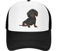 Unisex Baseball Cap Personalized Dachshund Baseball Cap Men Women Breathable Wiener Badger Sausage Dog Trucker Hat Outdoor Snapback Caps Sun Hats Perfect Cool