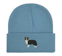 Unisex Embroidered Beanie hat (UK, Alpha, One Size, Standard, Airforce Blue)
