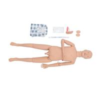 Unisex Human Anatomy Model Interactive Human Body Model 55Cm with Removable Organs Portable Anatomy 19 Pieces Educational Human Anatomical Model Human Body Model(Male)