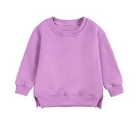 Unisex Kids Sweatshirt Toddler Solid Color Pullover with Slit Hemline Boys Girls Sweatshirt Baby Winter Warm Clothes Fall Solid Casual Long Sleeve Jumper Soft Tops for Kid (Purple-a, 4-5 Years)