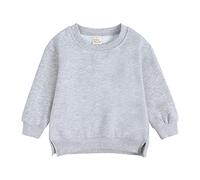 Unisex Kids Sweatshirt Toddler Solid Color Pullover with Slit Hemline Boys Girls Sweatshirt Baby Winter Warm Clothes Fall Solid Casual Long Sleeve Jumper Soft Tops for Kid (Grey-b, 3-4 Years)