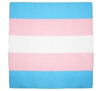 Unisex Multicolour Pink White Blue Transgender Stripe Gay Pride LGBTQ Cotton Bandana Headband