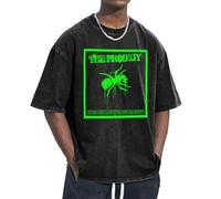 Unisex The Ant Music Band T Shirts Vintage wash Tee Shirt Short Sleeve Crew Neck Oversized Cotton Streetwear Cute Graphic Summer Casual Loose Basic Tee Top
