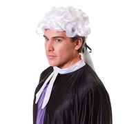 Unisex White Court Wig, 1 Pc. - Perfect Accessory for Costume Parties, Historical Events, Uniforms, World Book Day, Cosplay, Parties & Performances Halloween Halloween
