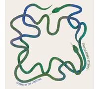 UNITED BIBLE STUDIES - STRANGE IS THE COASTLINE [VINYL]