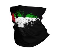 United Emiratis Eagle Flag Unisex Balaclava Quick Drying Headwear Windproof Neck Warmer For Sports Tennis Soccer
