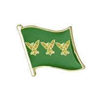 United Kingdom Great Britain Shires, Counties, Islands & Districts Flags Metal Pin Badge Brooch (Caernarfonshire)