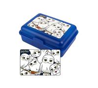 United Labels Lunch Box - Harry Potter: Hedwig PP, 17.5 x12.8 x6.9cm Blue