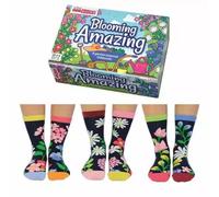 United Oddsocks Blooming Amazing Box of 6 Oddsocks for Ladies - UK 4-8