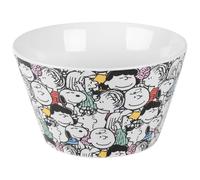 United Peanuts Snoopy Cereal Bowl (Family Portraits)