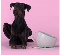 UNITED PETS Set Cup Large Bowl and Mat Mat Grey Design Dog Bowl, Made in Italy, for Medium and Large Dogs, Non-Slip, Anti-Spill, 100% Recycled Plastic