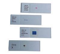 United Scientific Supplies 100-45"Mixed Protozoa" Prepared Microscope Slide