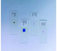 United Scientific Supplies 500-7"Human Cheek Cells" Prepared Microscope Slide