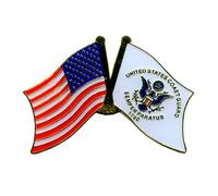 United States Coast Guard Us Coast Guard Flag Metal Pin/Badge 0653