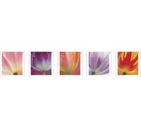 United States Postal Service USPS 2023 Tulip Blossom Forever First Class Postage Stamps (20 Count Booklet)