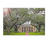 United States Puzzle 100 Pieces America USA Oak Alley Plantation Puzzle Game Artwork Travel Souvenir 45.5x35.5CM