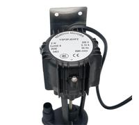 Universal 2W ice machine, water pump, water pump, motor, snow-resistant/Xingji YSP2PJDVF2/snow deer ice scene 220v(2W black water pump)