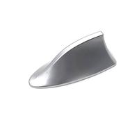 Universal Car Decoration Accessories Radio Shark Fin Antenna/Fit For BMW F25 X5 E53 E70 X Series E84 X1 X3 E83 (Color : Silver)