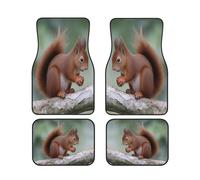 Universal Car Or Van Floor Mats 4pc Set, .Cute Squirrel. Print Vehicle Front Rear Carpets Mats, Anti-Skid Car Foot Rugs Auto Accessories For Suv, Sedans, Truck, Van