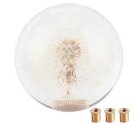 Universal Crystal Dandelions Flowers Shift KNOB Durable ECO-Friendly Gear Shifter Applicable for Most Cars