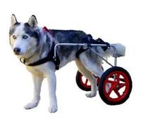 Universal Dog Wheelchair with Full Support & 2 Wheels, Adjustable Rear Leg Stroller, Ideal Pet Walker for Injured Animals