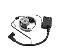 Universal Electronic Ignition Coil Kit Compatible With 50cc 2 Stroke Engines Includes Internal Rotor Stator Flywheel Compatible With Similar SX Sur Ron Models