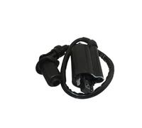 Universal Fit Ignition Coil Compatible With GY6 260cc Moped Scooter XV250 Linhai 260cc 300cc ATV Aftermarket Replacement