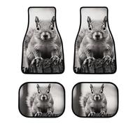 Universal Light Gray Squirrel Car Floor Mats Set of 4 All-Weather Heavy Duty Polyester Auto Carpets with Anti-Slip Nibbed Backing Waterproof Front & Rear Liners for Cars Suvs Trucks Vans