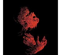 Universal Monsters The Wolfman Illustrated Women's T-Shirt - Black - M