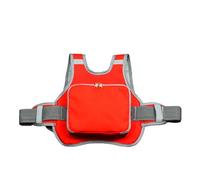 Universal Motorcycle Adjustable Safety Belt for Kids with Storage Bag Rear Seat Grab Handle Strap Harness Child Reflective Strip(Red)